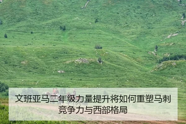 文班亚马二年级力量提升将如何重塑马刺竞争力与西部格局